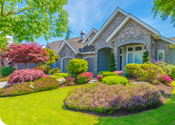 Beautiful landscape design