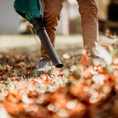Fall cleanup