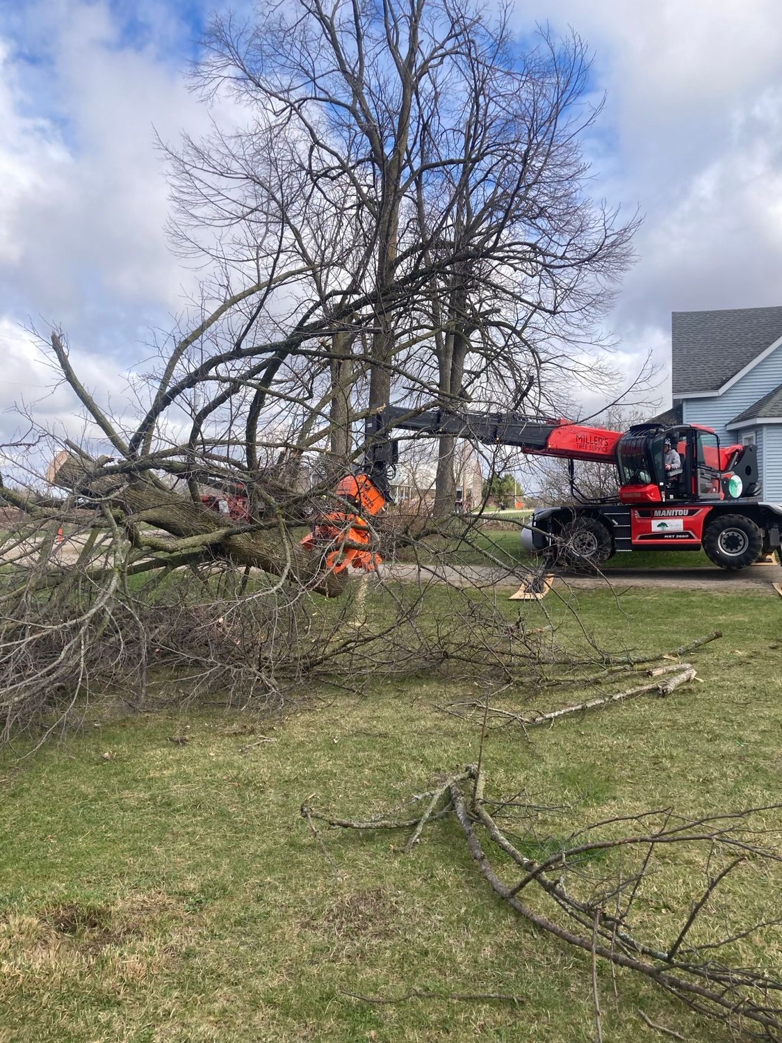 Workers using a red cherry picker to cut a large fallen tree in a grassy field.