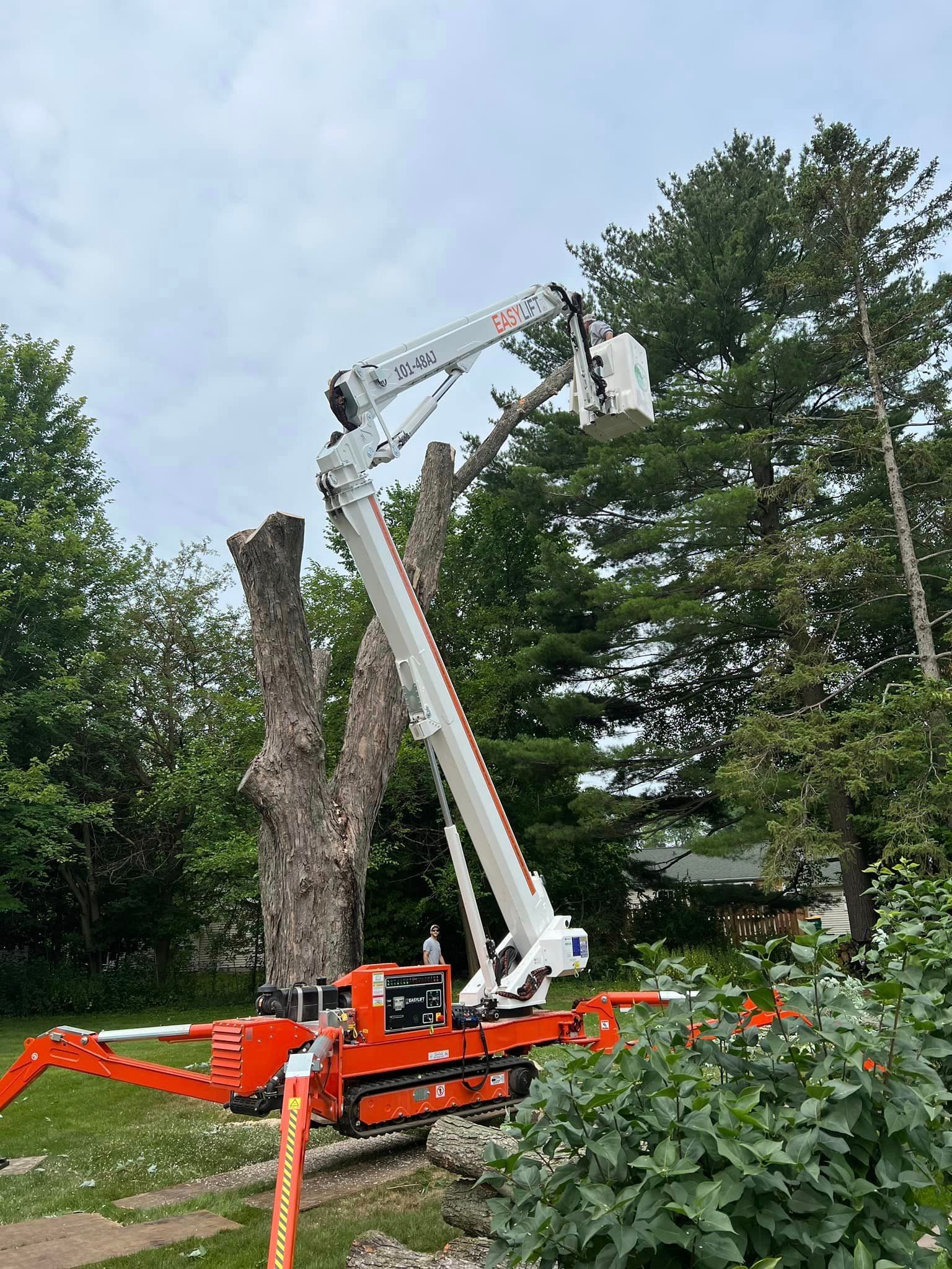 a crane is cutting a tree in a yard .