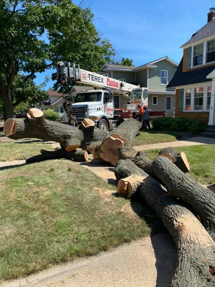 a pile of logs sitting on the side of the road next to a truck .
