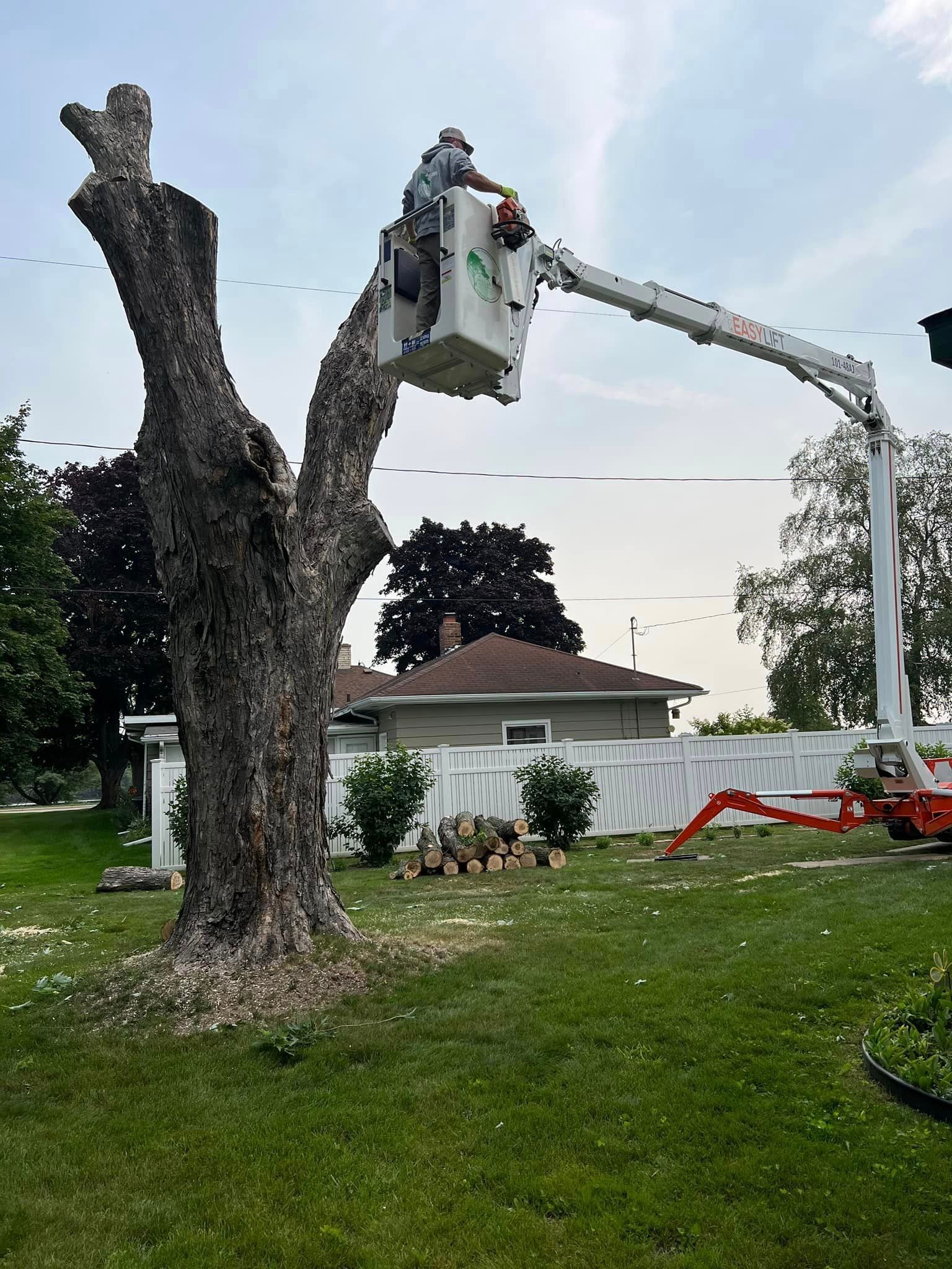 a man is cutting a tree with a crane in a yard .