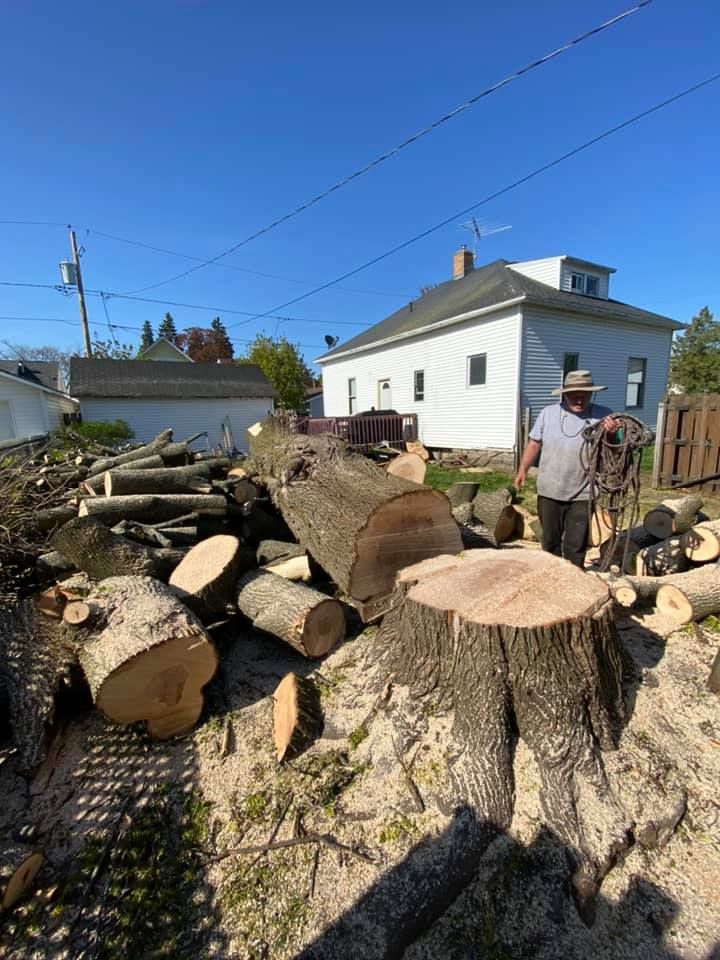 a man is standing next to a pile of logs in front of a house .