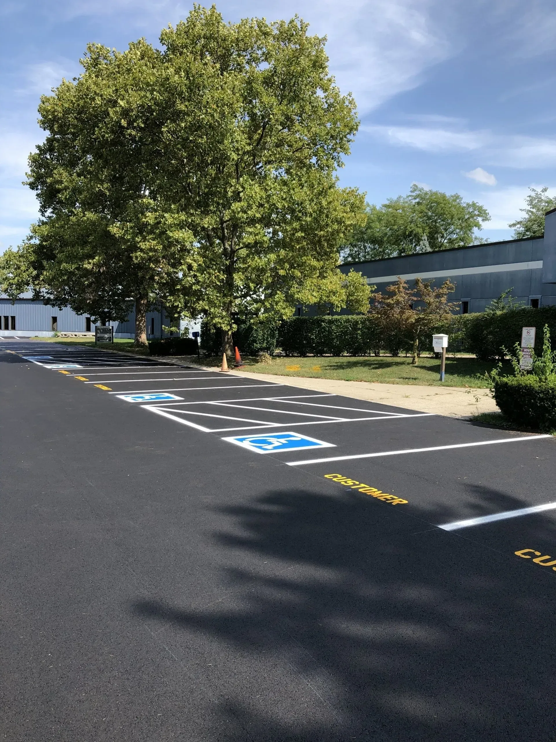 A paved parking lot with multiple blue and white accessibility symbols and painted white lines near a large green tree.