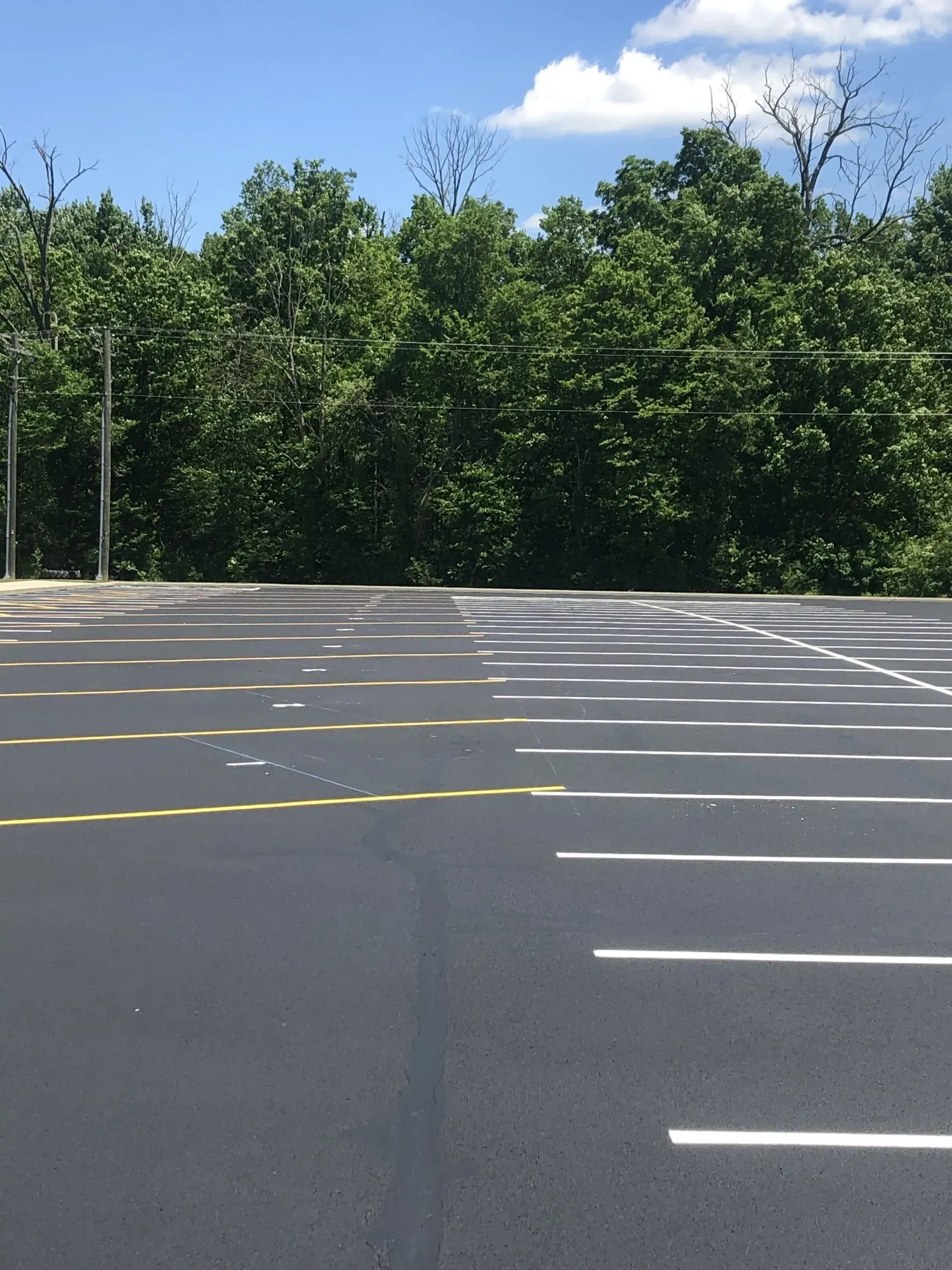 An empty parking lot with marked spaces and dappled sunlight, set against a backdrop of green trees under a blue sky.