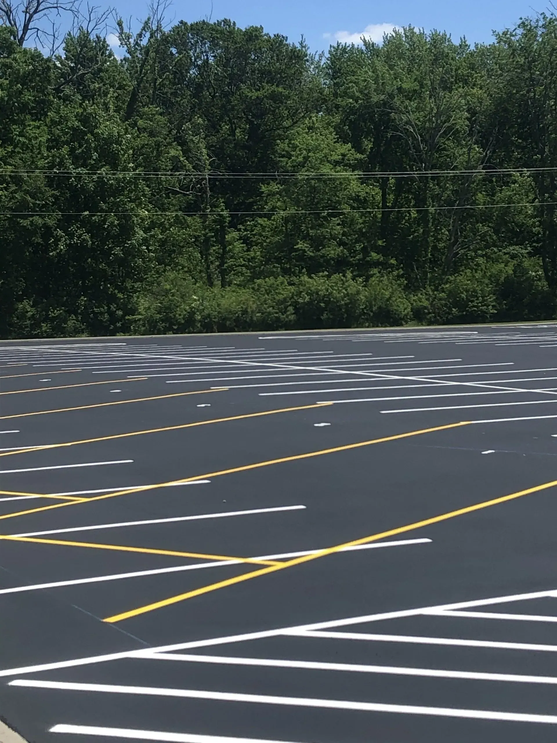 An empty parking lot with freshly painted white and yellow lines, dappled by sunlight filtering through nearby trees.