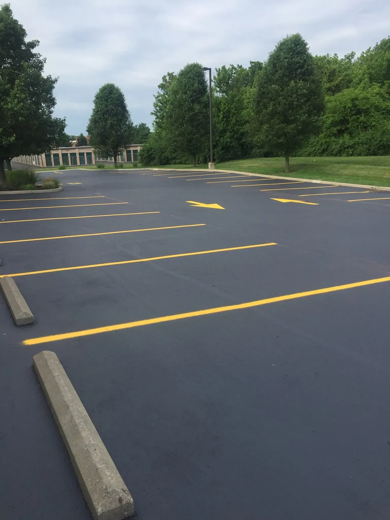 An empty parking lot with freshly painted yellow stall markings and directional arrows on smooth black asphalt.