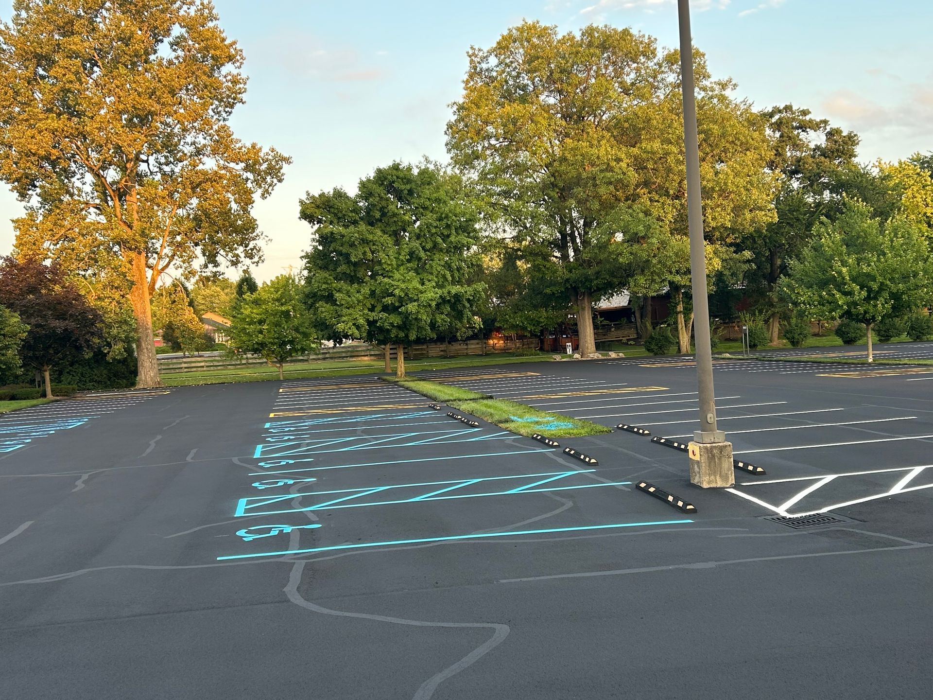 An empty parking lot with trees in the background and bright blue painted markings on the asphalt.