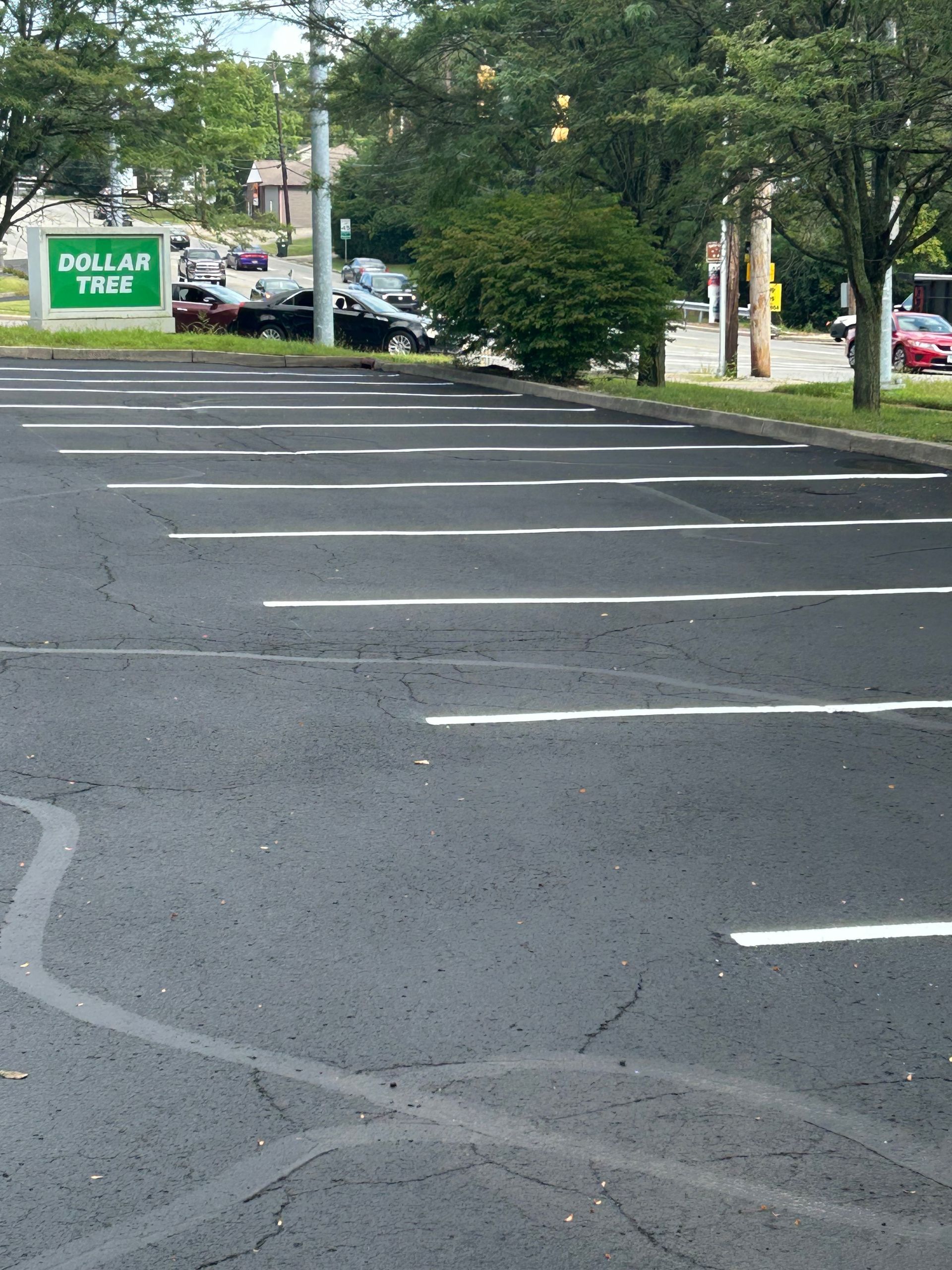 An empty asphalt parking lot with white painted spaces, leading to a Dollar Tree sign and green trees in the background.