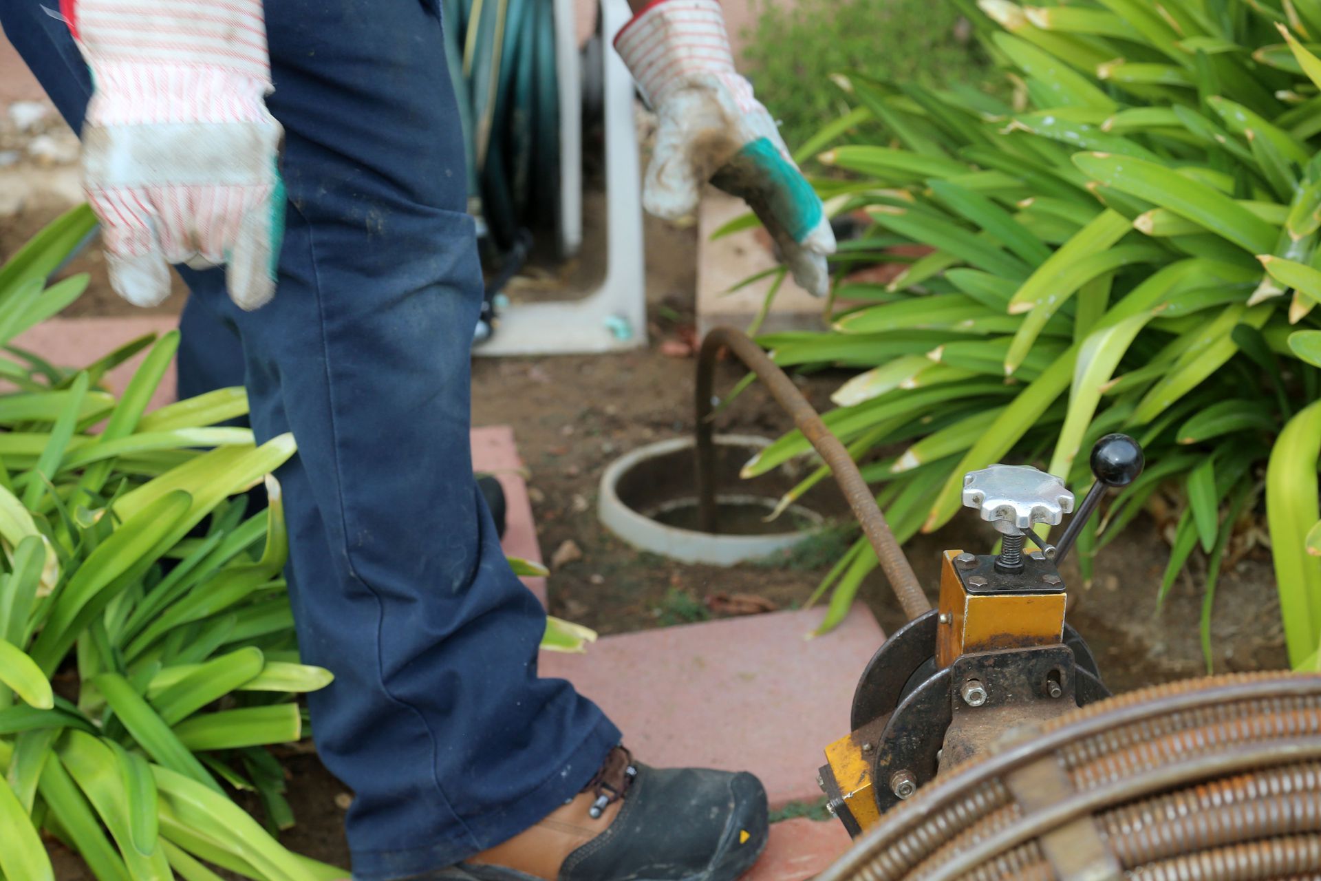 Worker trimming shrubs with a hedge trimmer beside a garden path