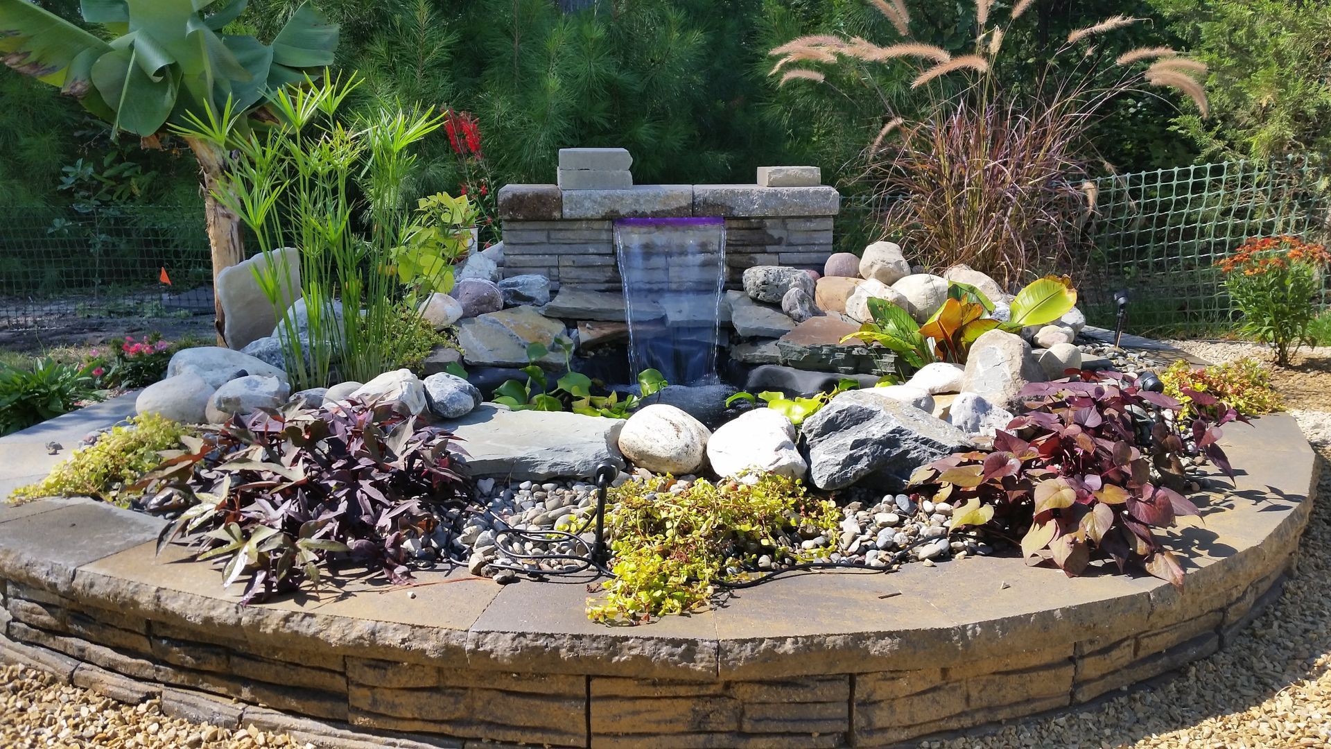 A waterfall is surrounded by rocks and plants in a garden