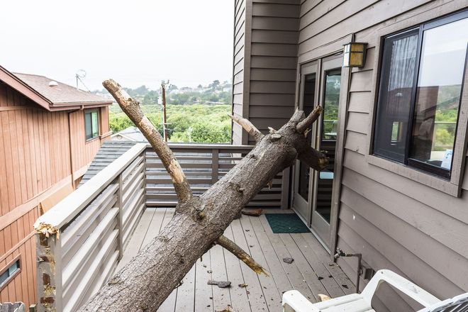 A large fallen tree branch rests on a wooden deck, leaning against the side of a brown house near glass doors.