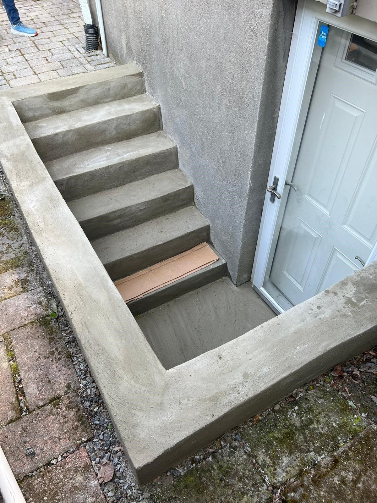 A set of concrete stairs leading up to a basement door.