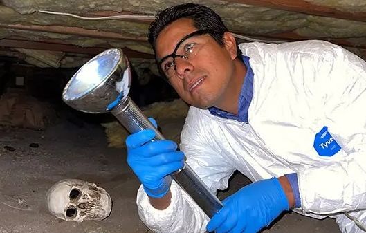 Researcher in white suit and blue gloves examining a skull in a cave with a flashlight