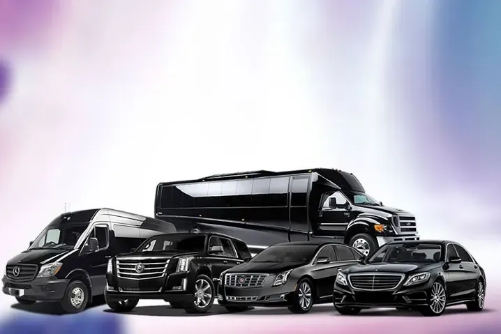 Black luxury vehicles, including a van, SUV, sedans, and a party bus, arranged together.
