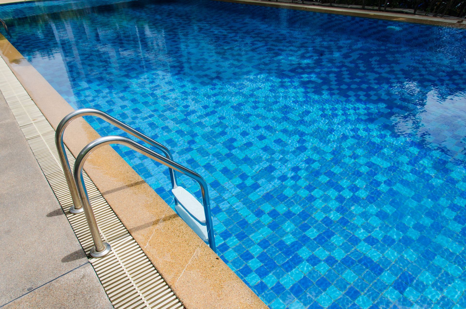 swimming pool contractor
