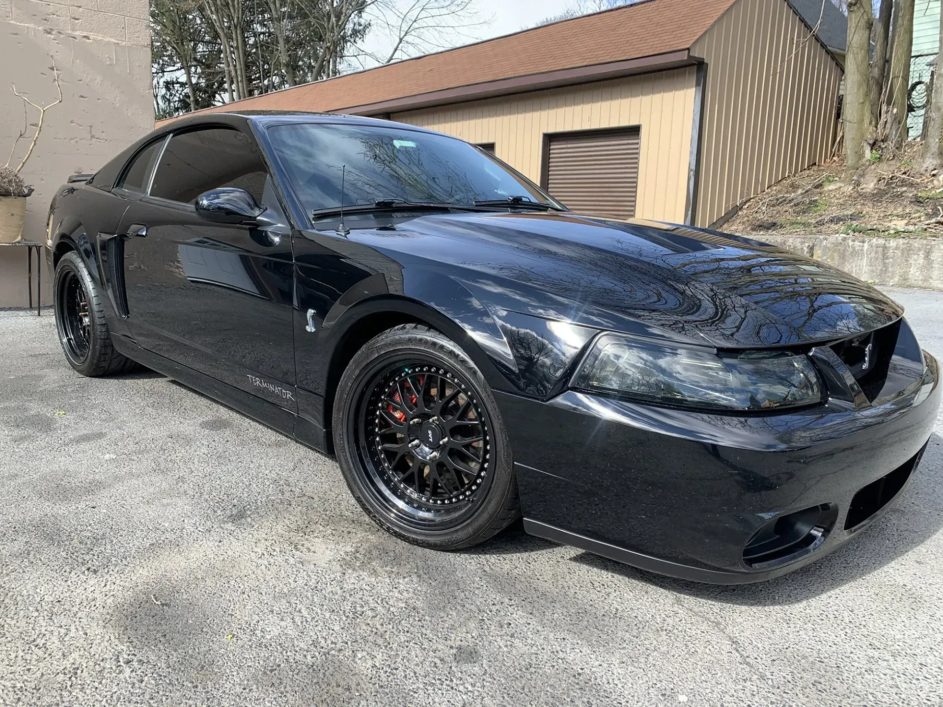 Black Ford Mustang Cobra parked outside.
