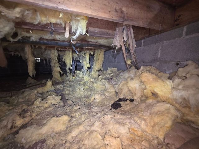 Crawlspace with damaged insulation hanging from wooden joists and scattered yellow insulation on the ground
