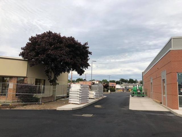 A brick building with a tree in front of it
