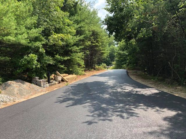 A road going through a forest with trees on both sides.