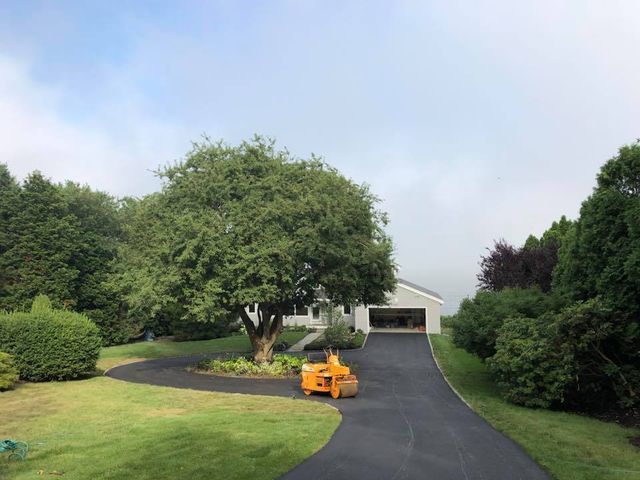 A driveway leading to a white house surrounded by trees and bushes.