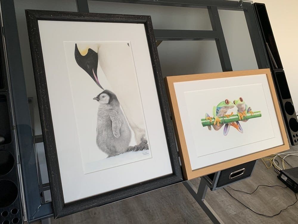 Two framed art prints: a penguin sketch and a colorful tree frog painting on a shelf.