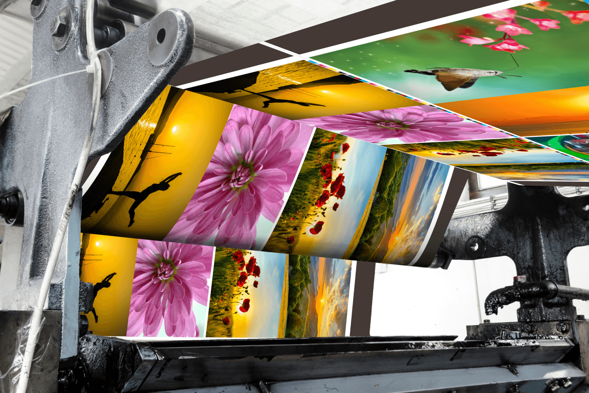 Printing press, rolling colorful images of flowers, landscapes, and birds.