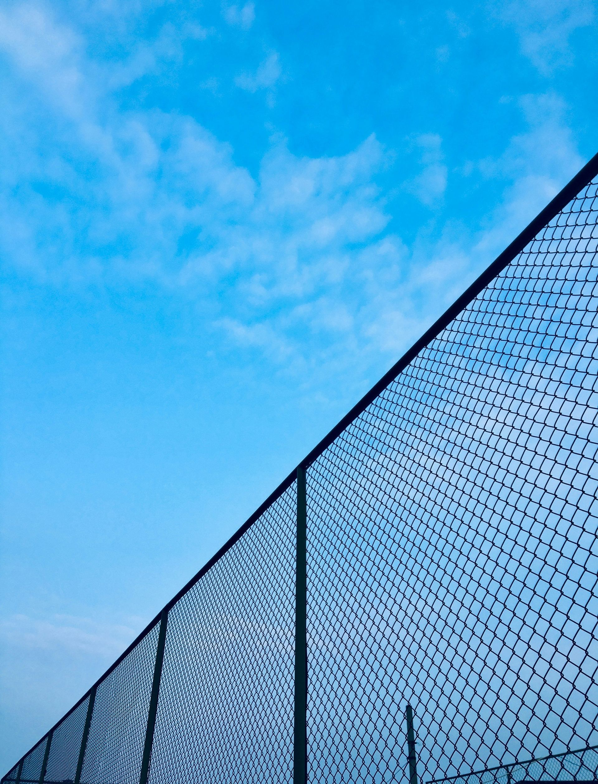 Blue sky behind a chain-link fence, angled across the frame.