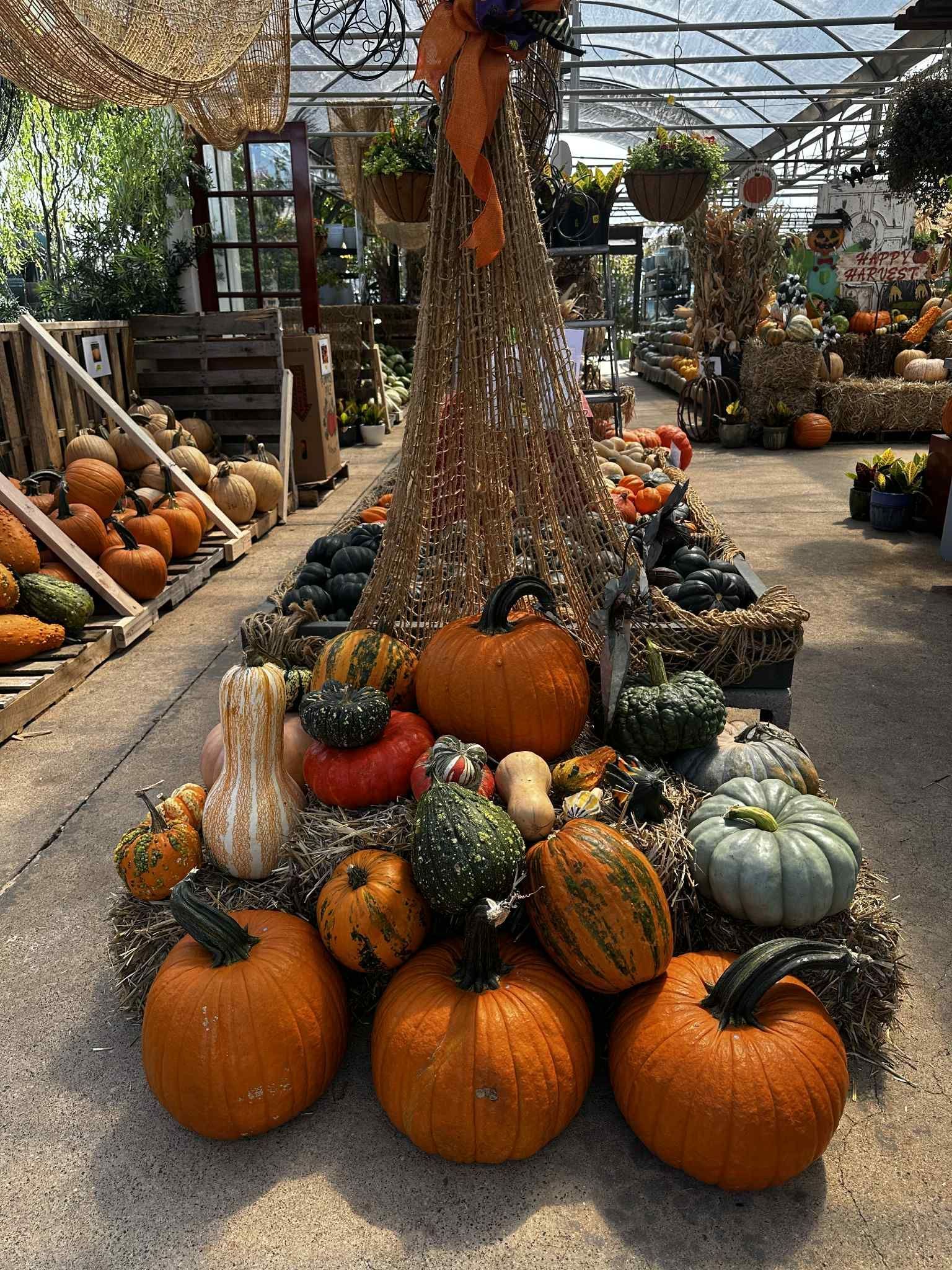 Pumpkins and gourds in a fall display at a market, with a decorative straw cone and other fall produce.