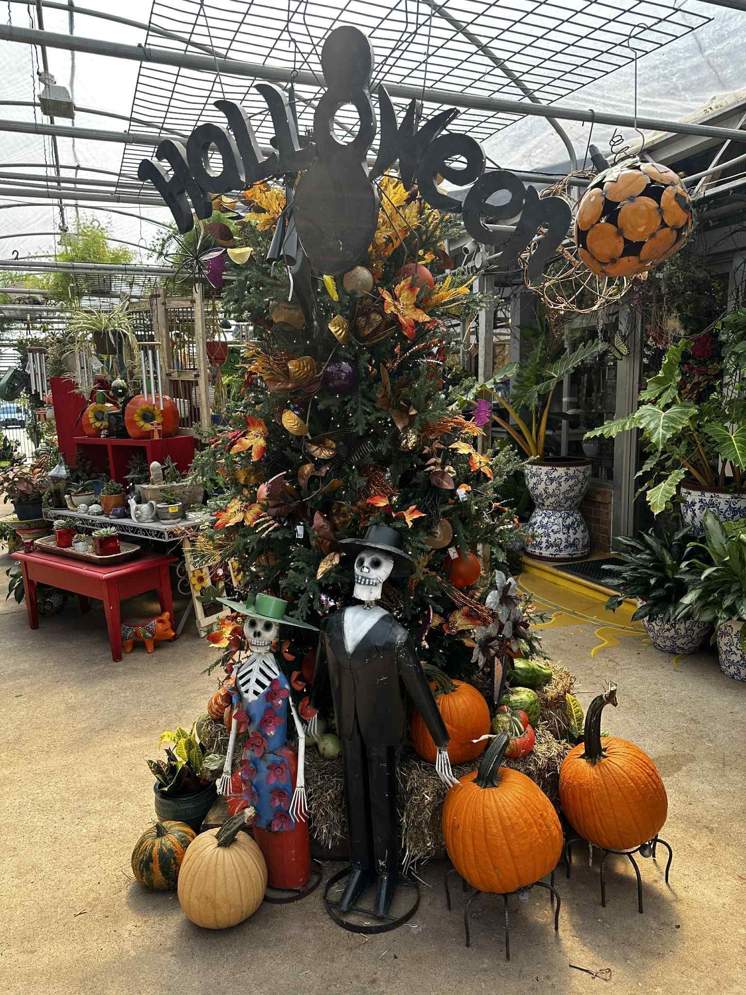 Halloween display at a greenhouse: skeletons, pumpkins, decorated tree, and 