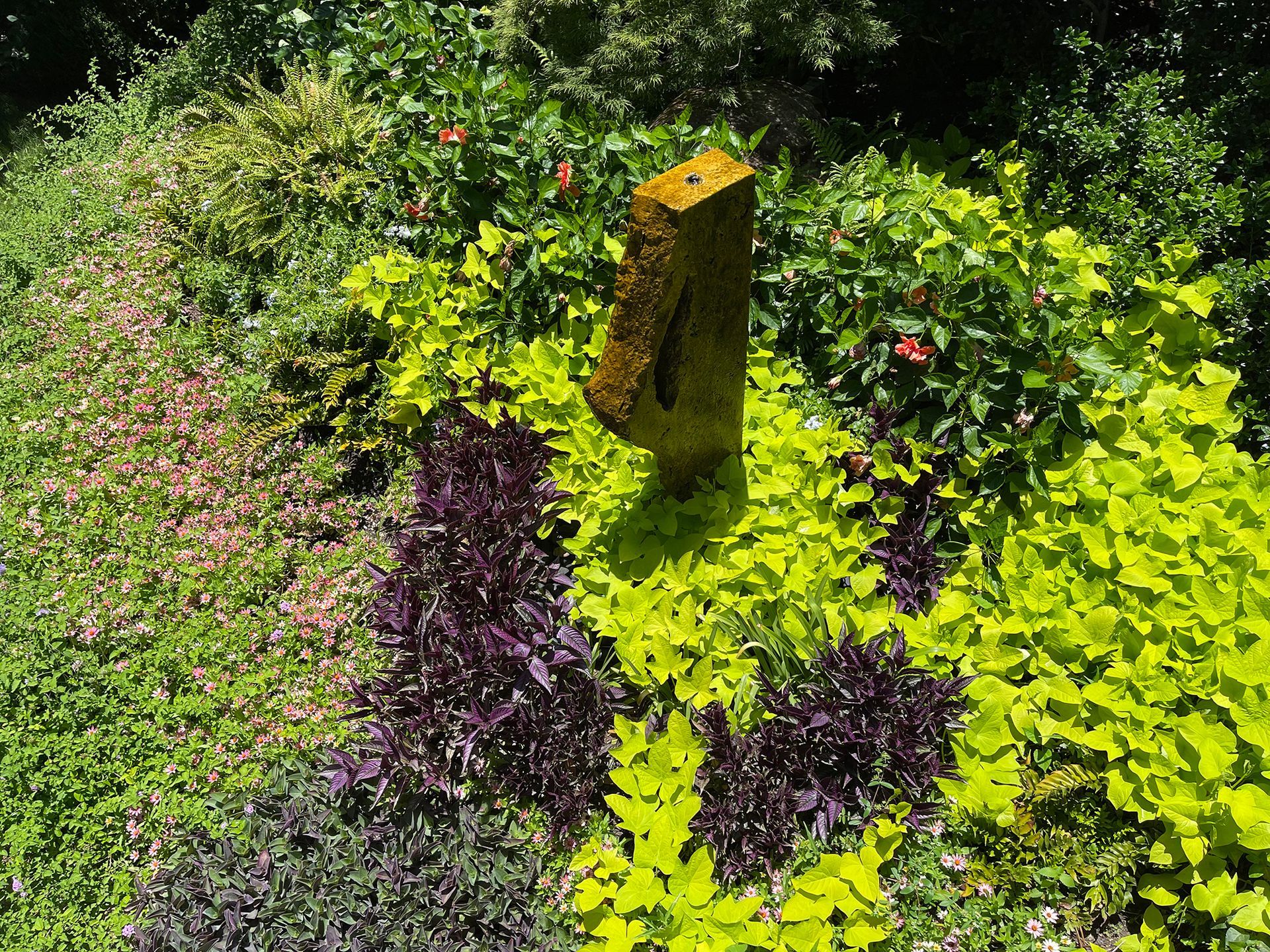 A brick in the middle of a garden surrounded by green and purple plants.