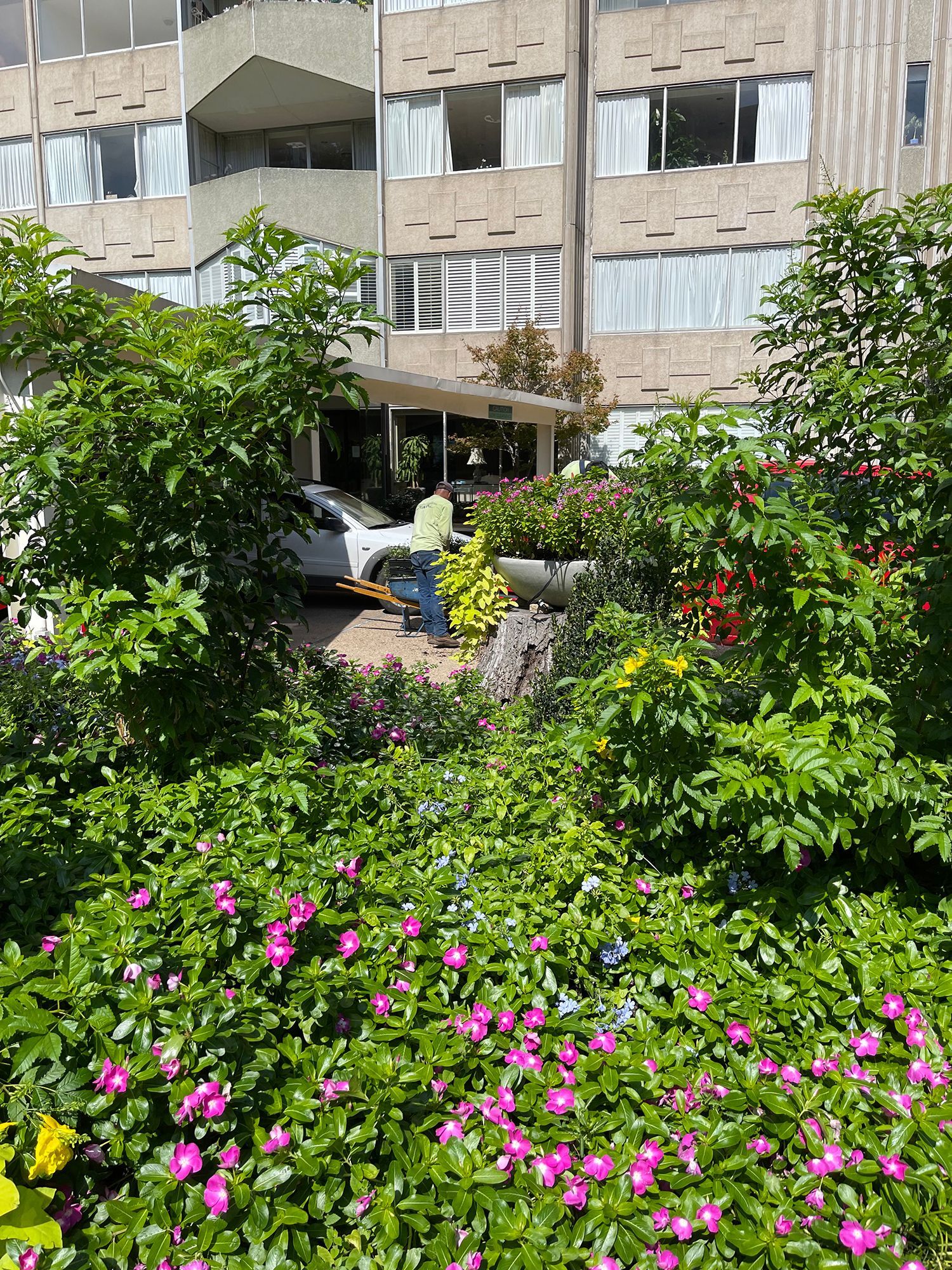 A large building with a lot of flowers in front of it.