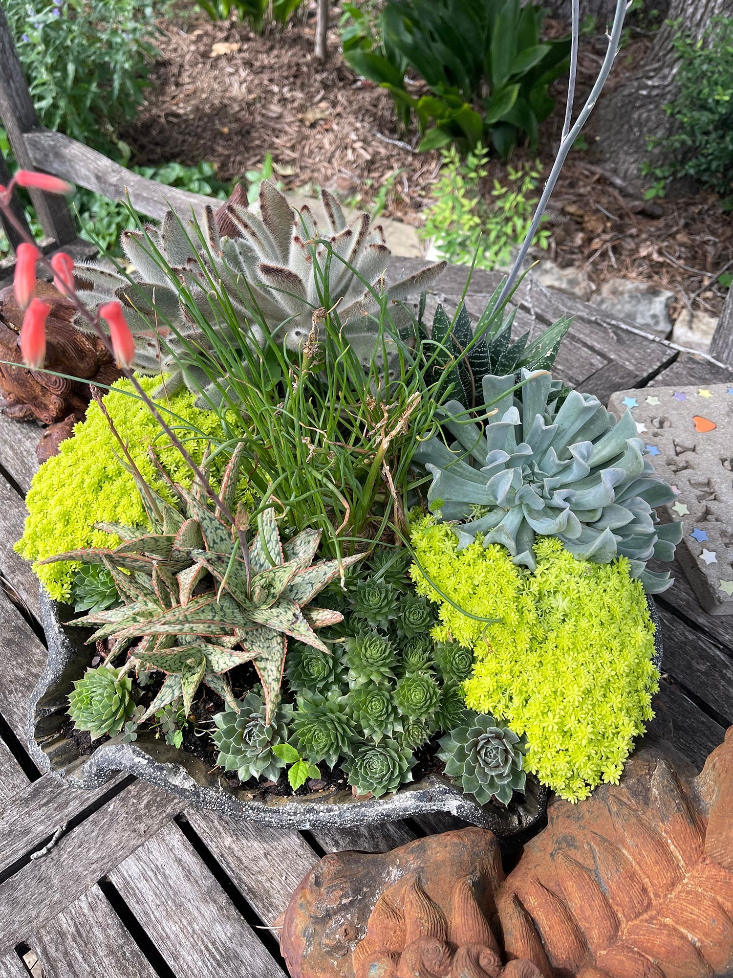 A pot of succulents is sitting on a wooden table.