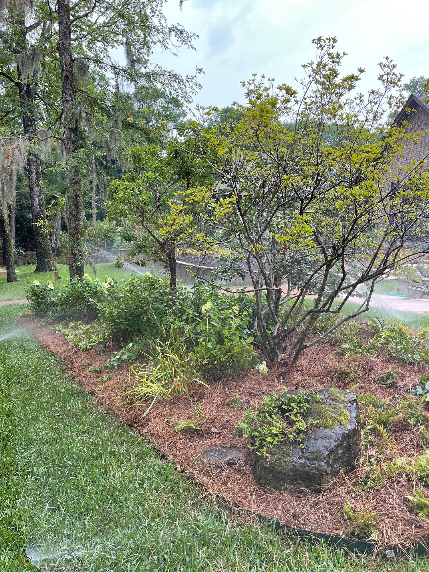 A sprinkler is spraying water on a lush green garden.