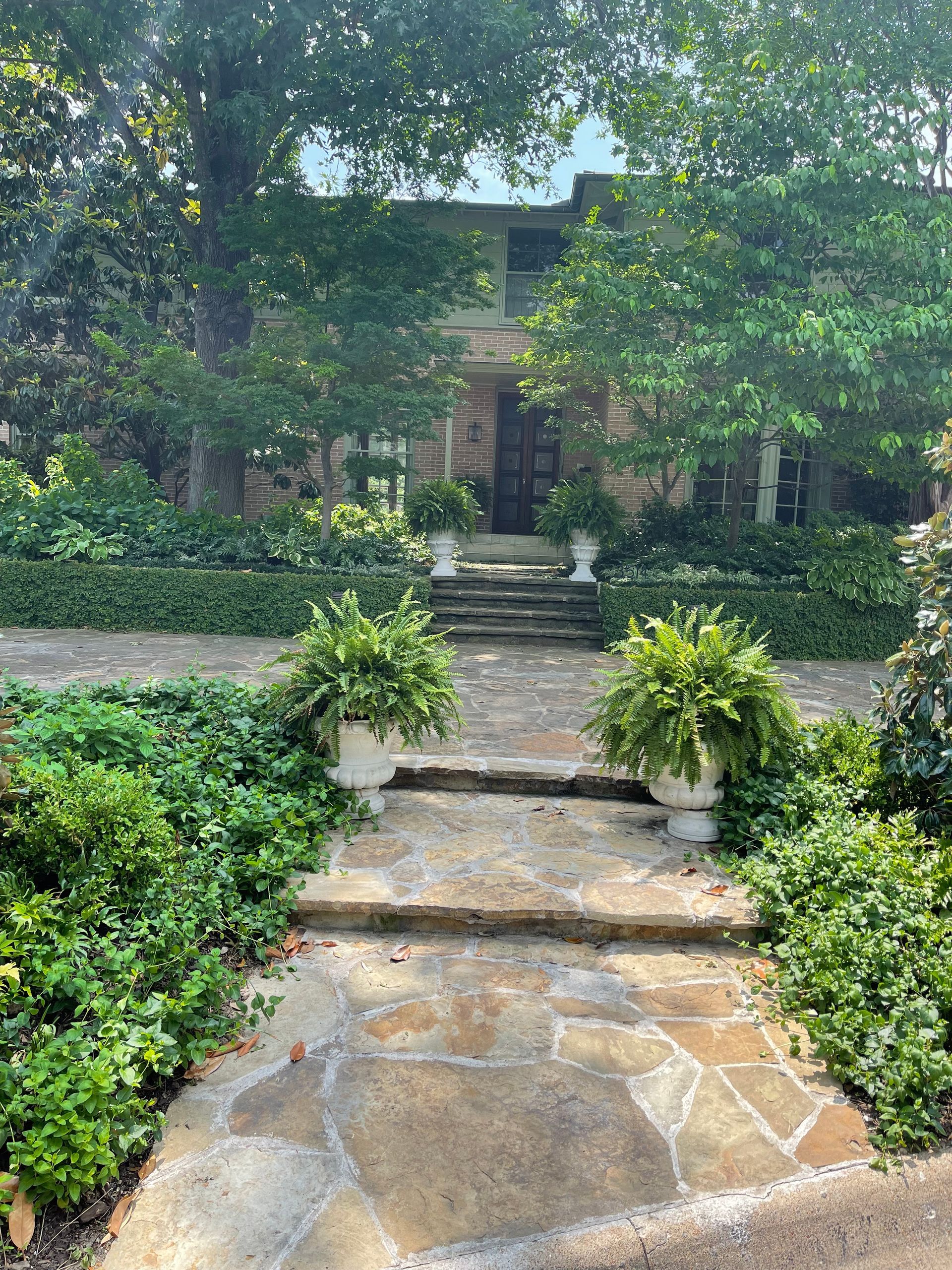A stone walkway leading to the front of a house surrounded by trees and bushes.