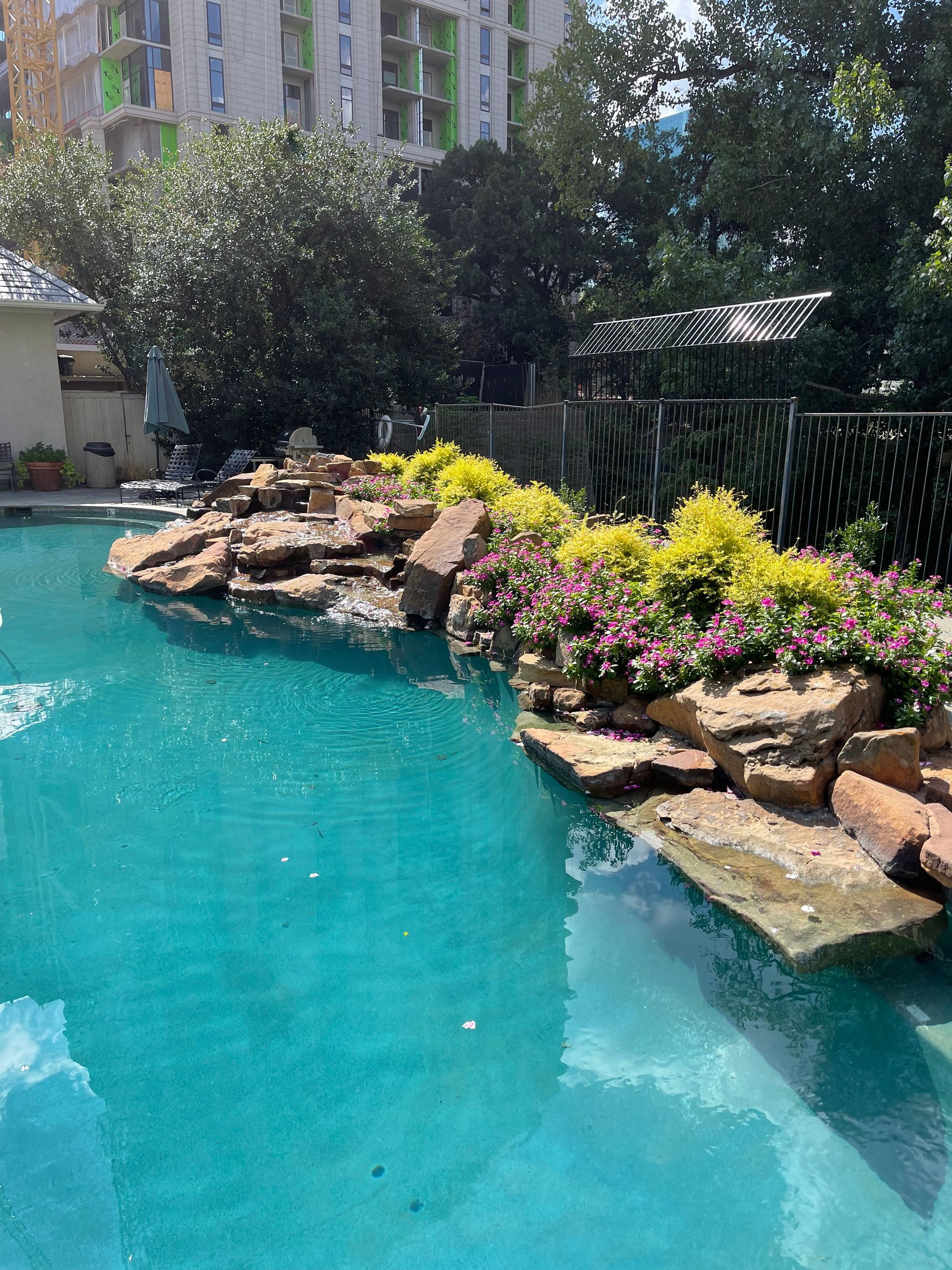 A large swimming pool surrounded by rocks and flowers with a building in the background.