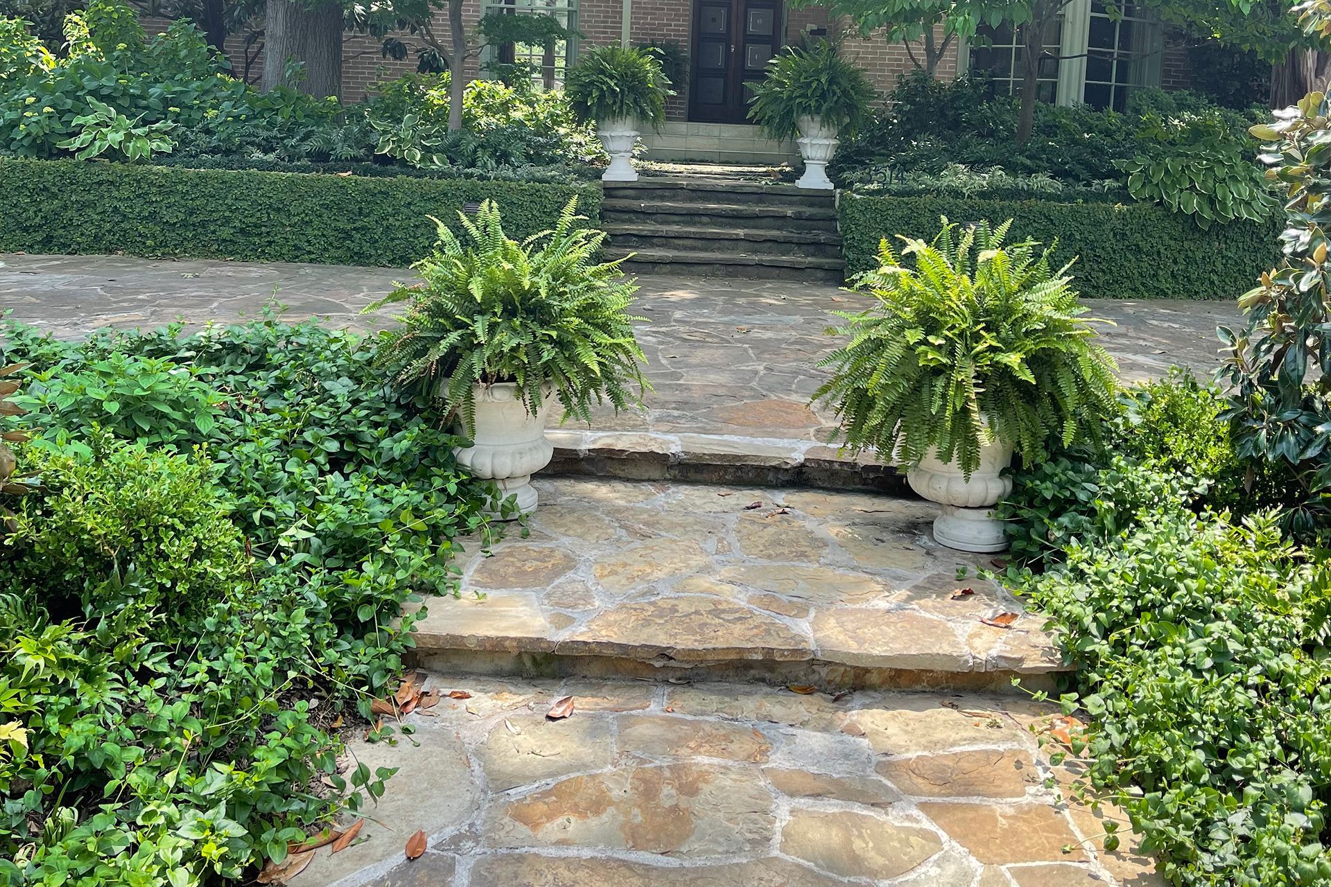 A stone walkway with steps leading up to a house surrounded by plants and bushes.