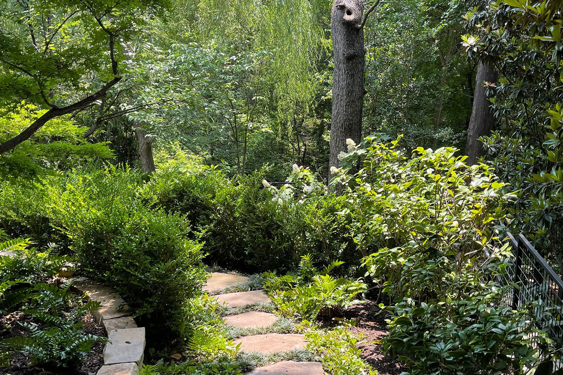 A stone path in the middle of a forest surrounded by trees and bushes.