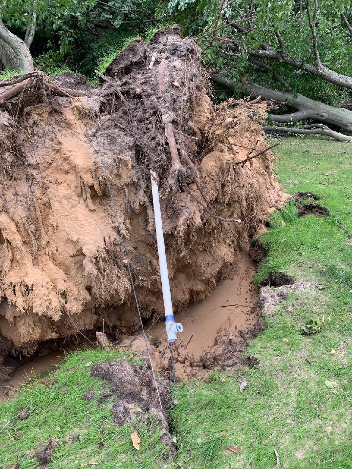 A large tree stump is sitting on top of a lush green field.