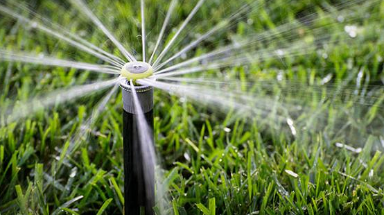 A sprinkler is spraying water on a lush green lawn.