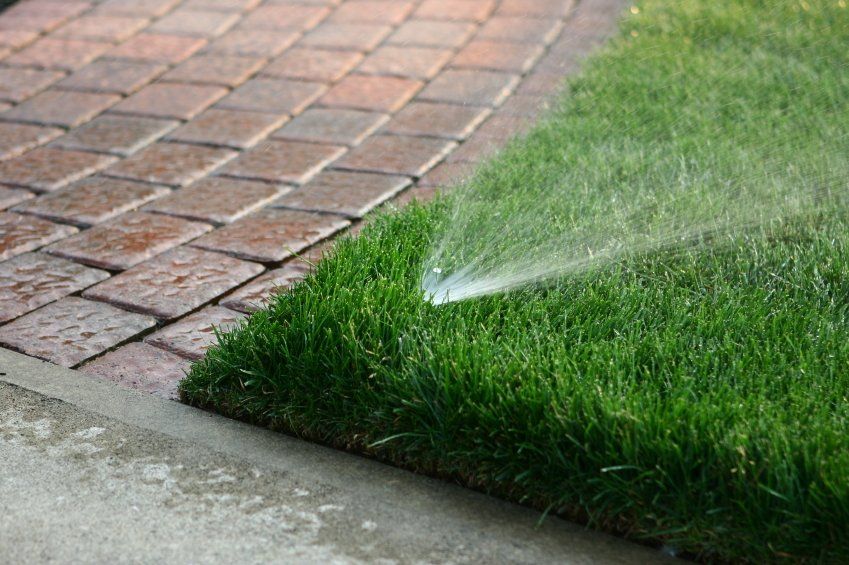 A sprinkler is spraying water on a lush green lawn next to a brick walkway.