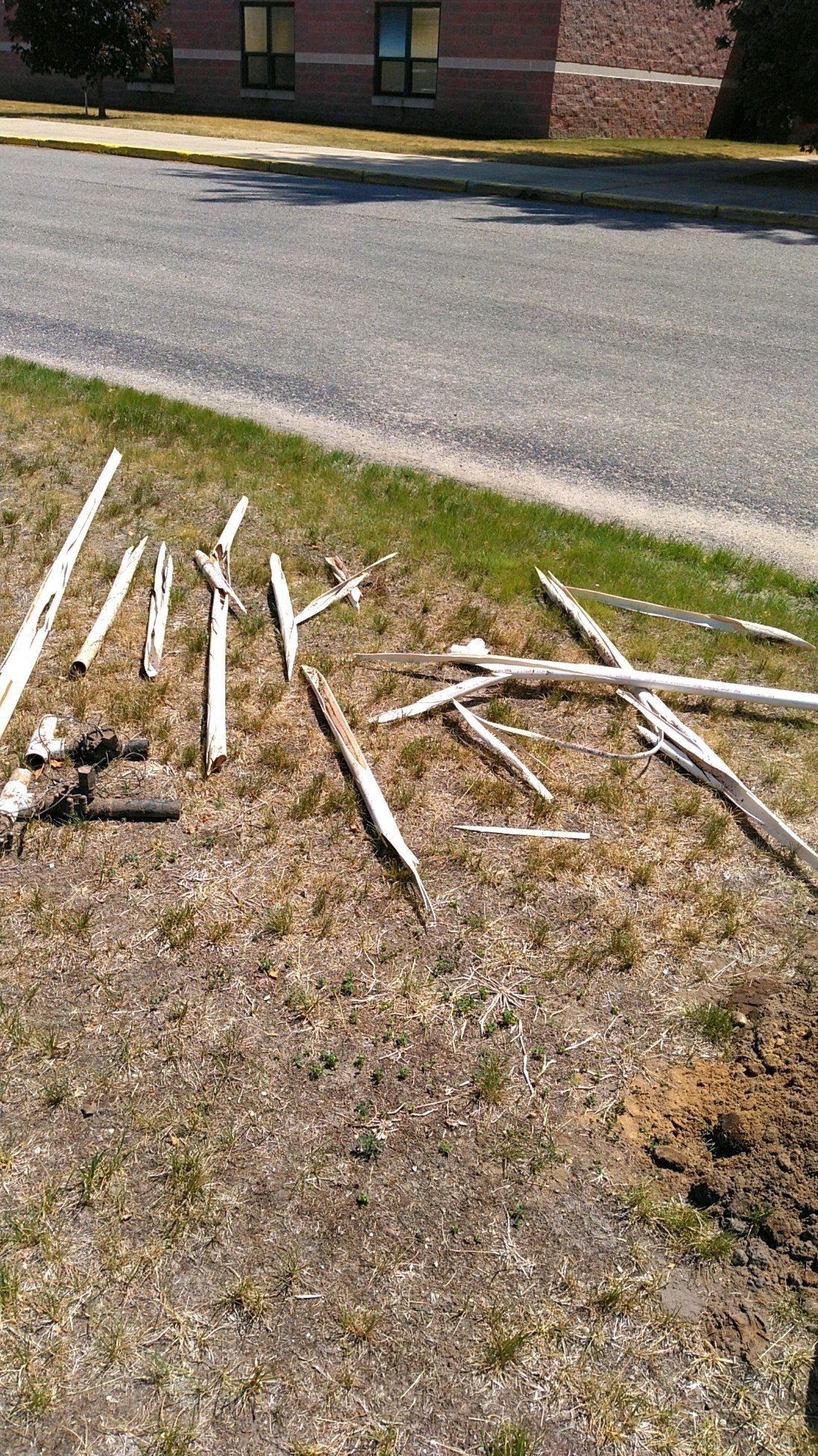 A pile of wood is laying on the ground next to a road.