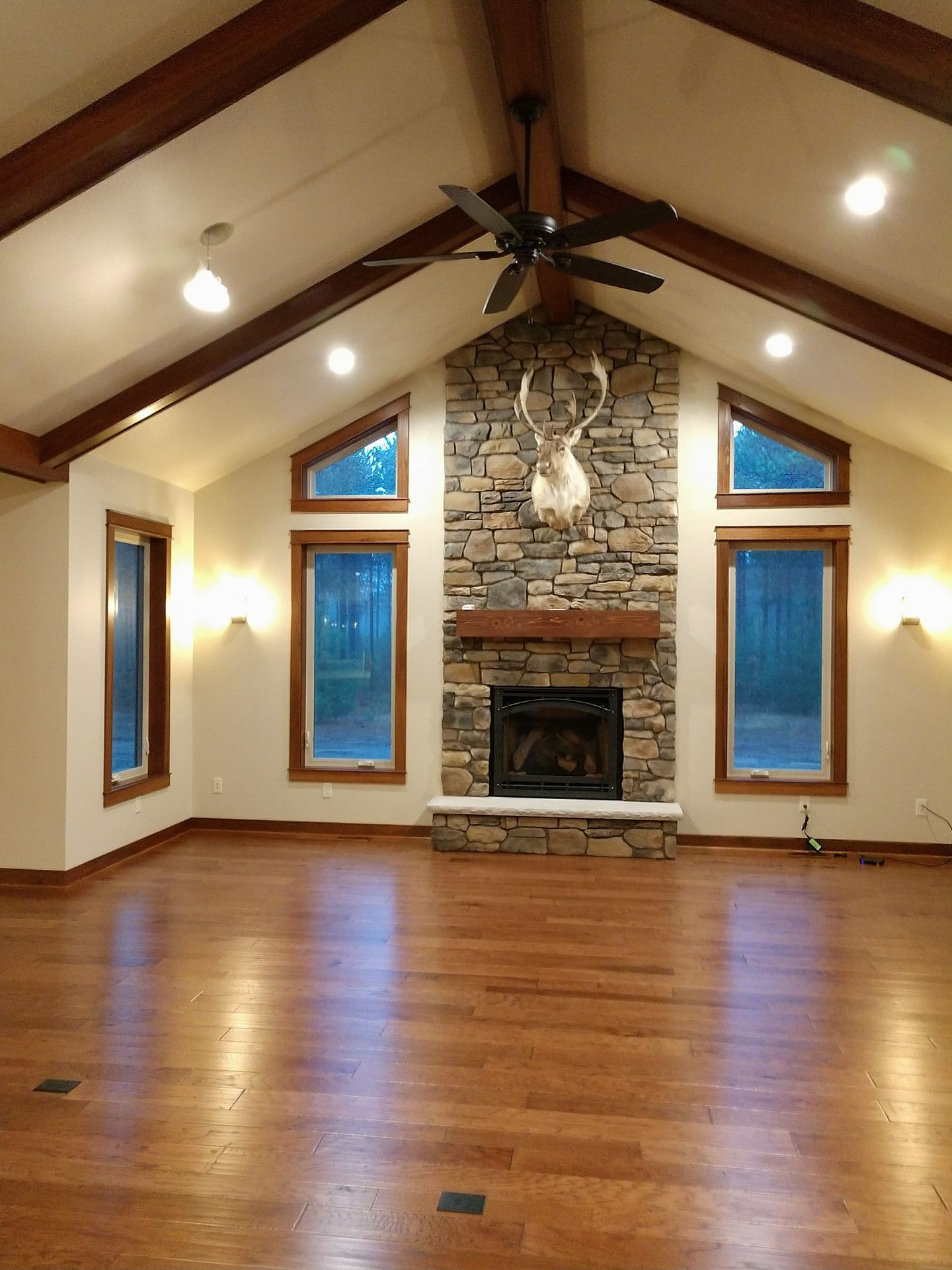 lighting and windows