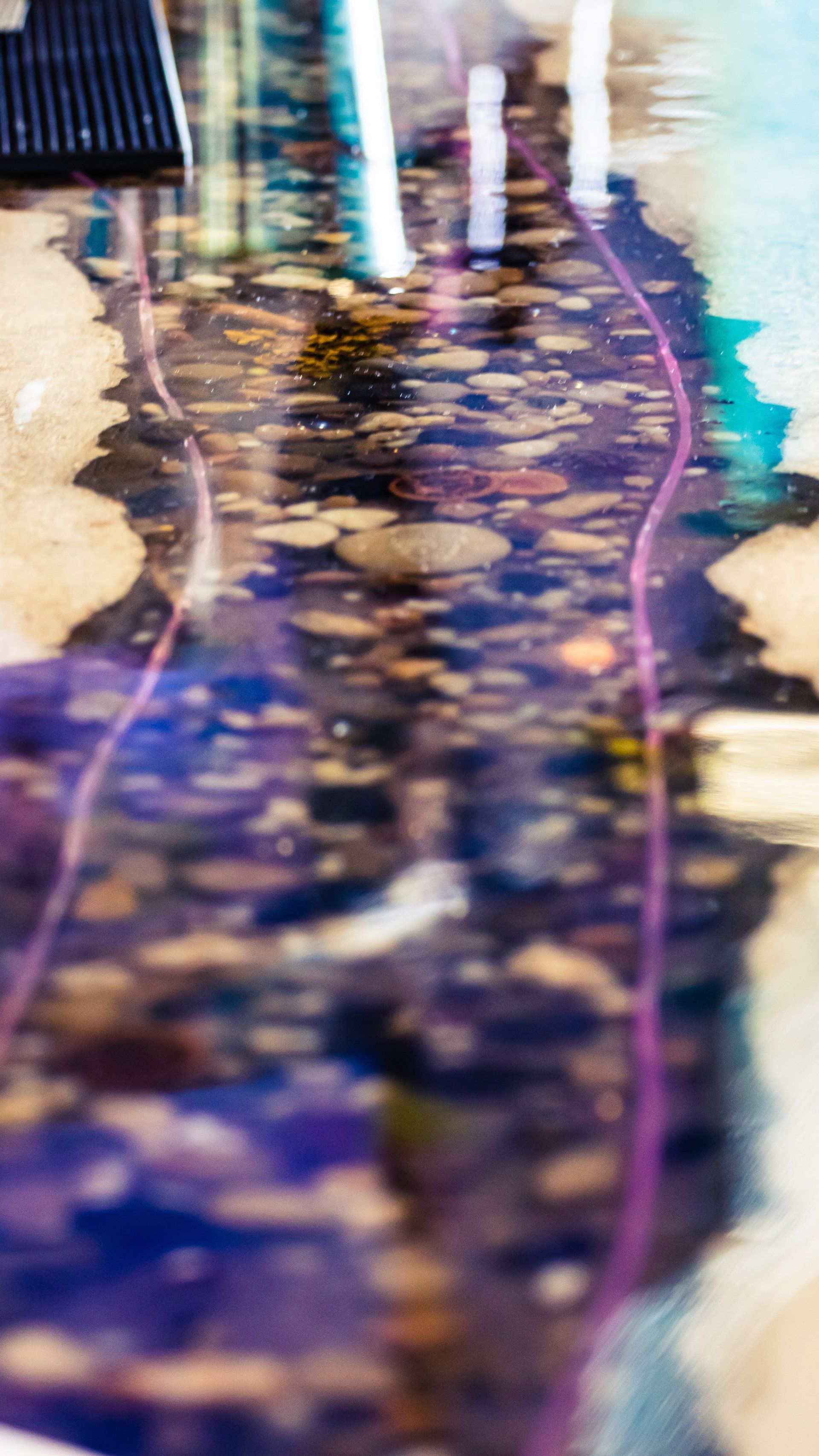 Overhead shot of a clear water stream bed, visible rocks, with purple tubing outlining the water's flow.