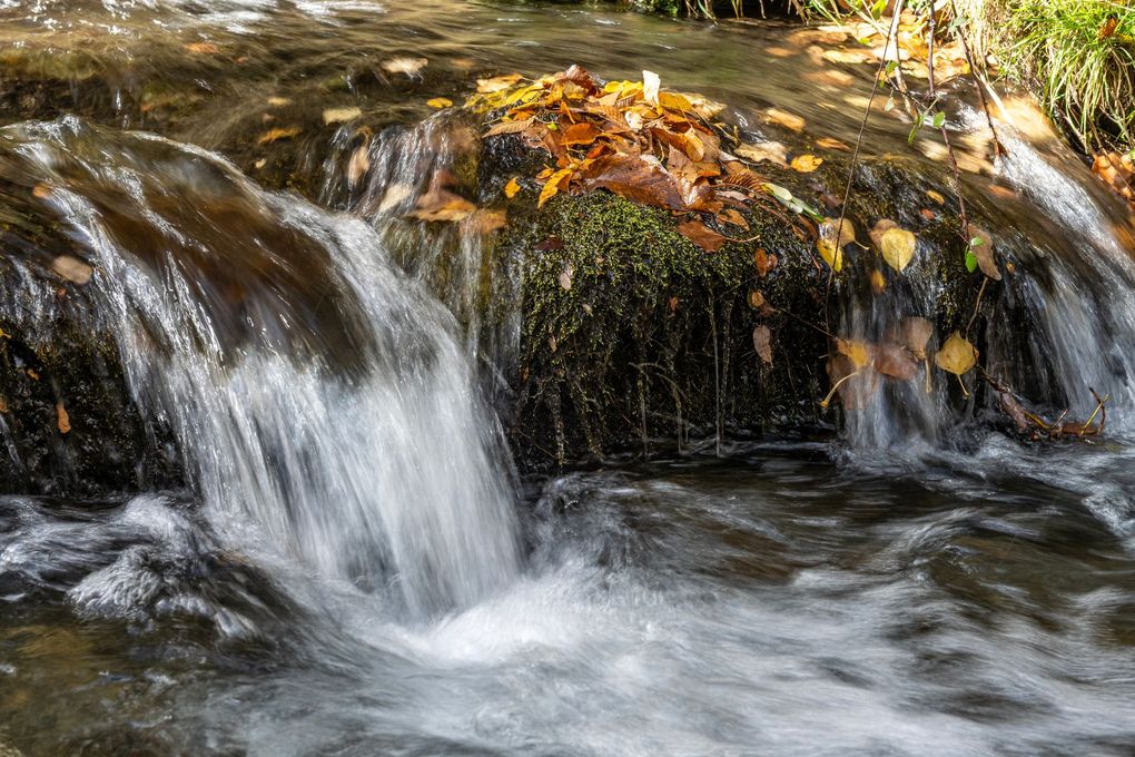 Small waterfall flowing over mossy rocks with autumn leaves in a forest stream