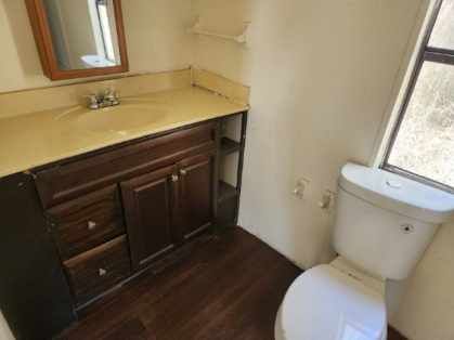 Bathroom with a toilet, sink, mirror, and dark cabinets. Brown wooden floor and a window are visible.
