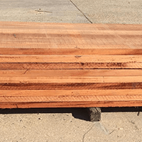 African Mahogany