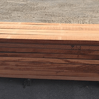 African Mahogany