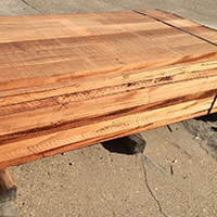 African Mahogany
