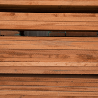 African Mahogany
